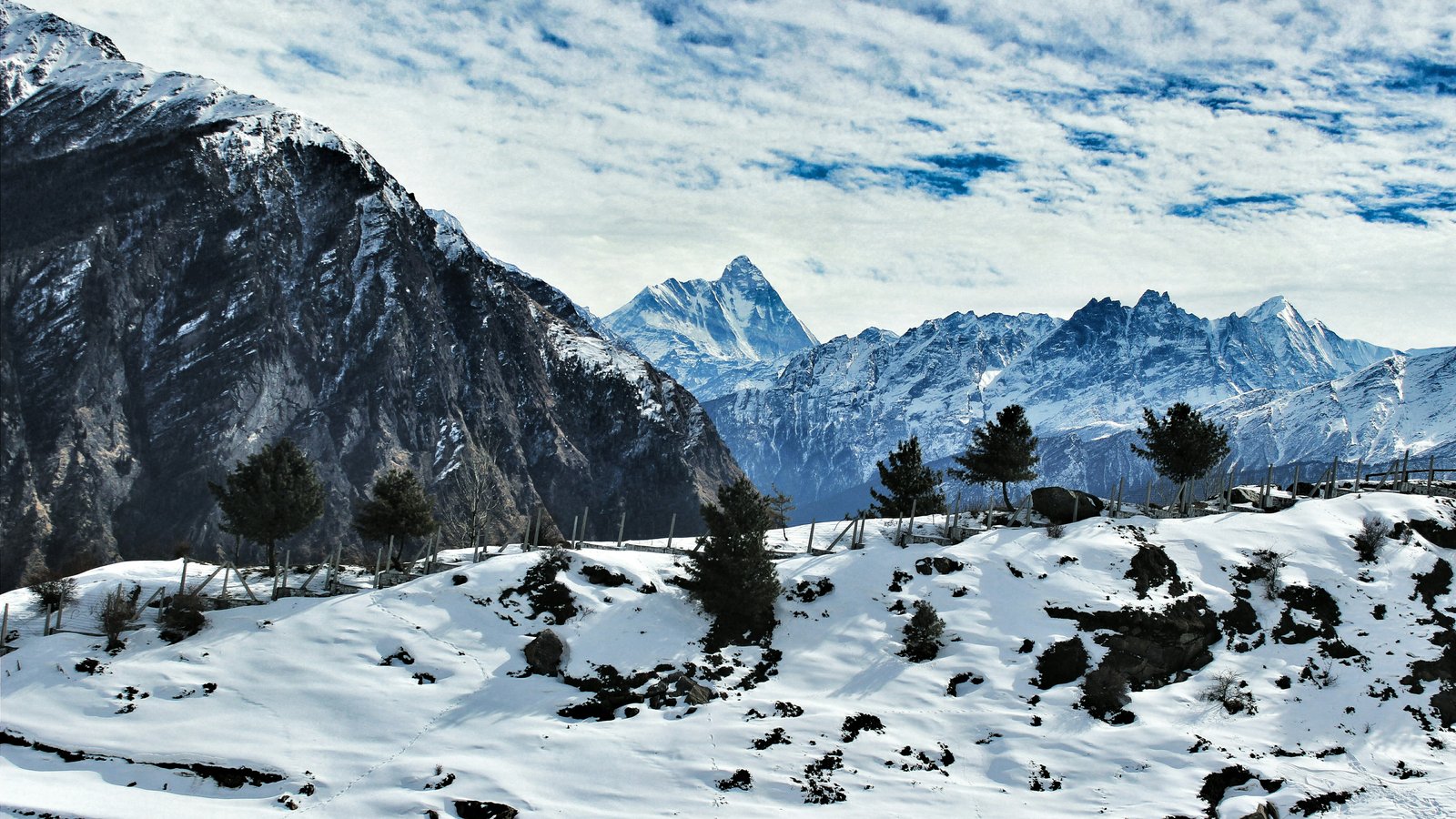 Auli snow mountains