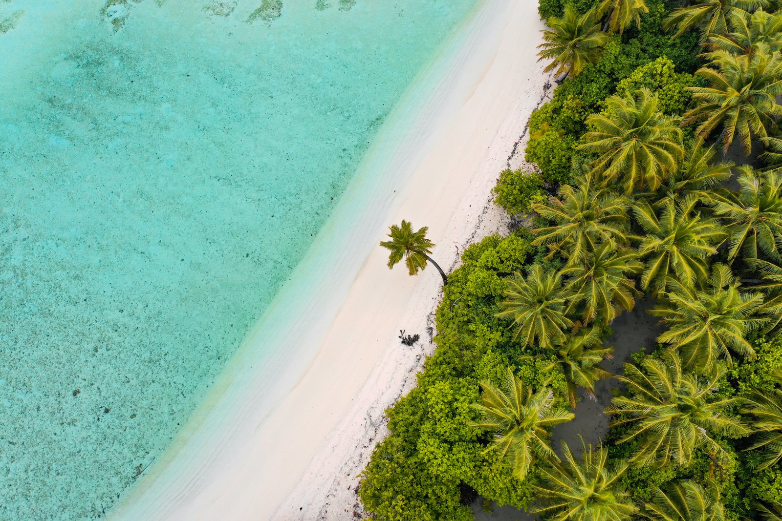 Maldives beach and turquoise lagoon