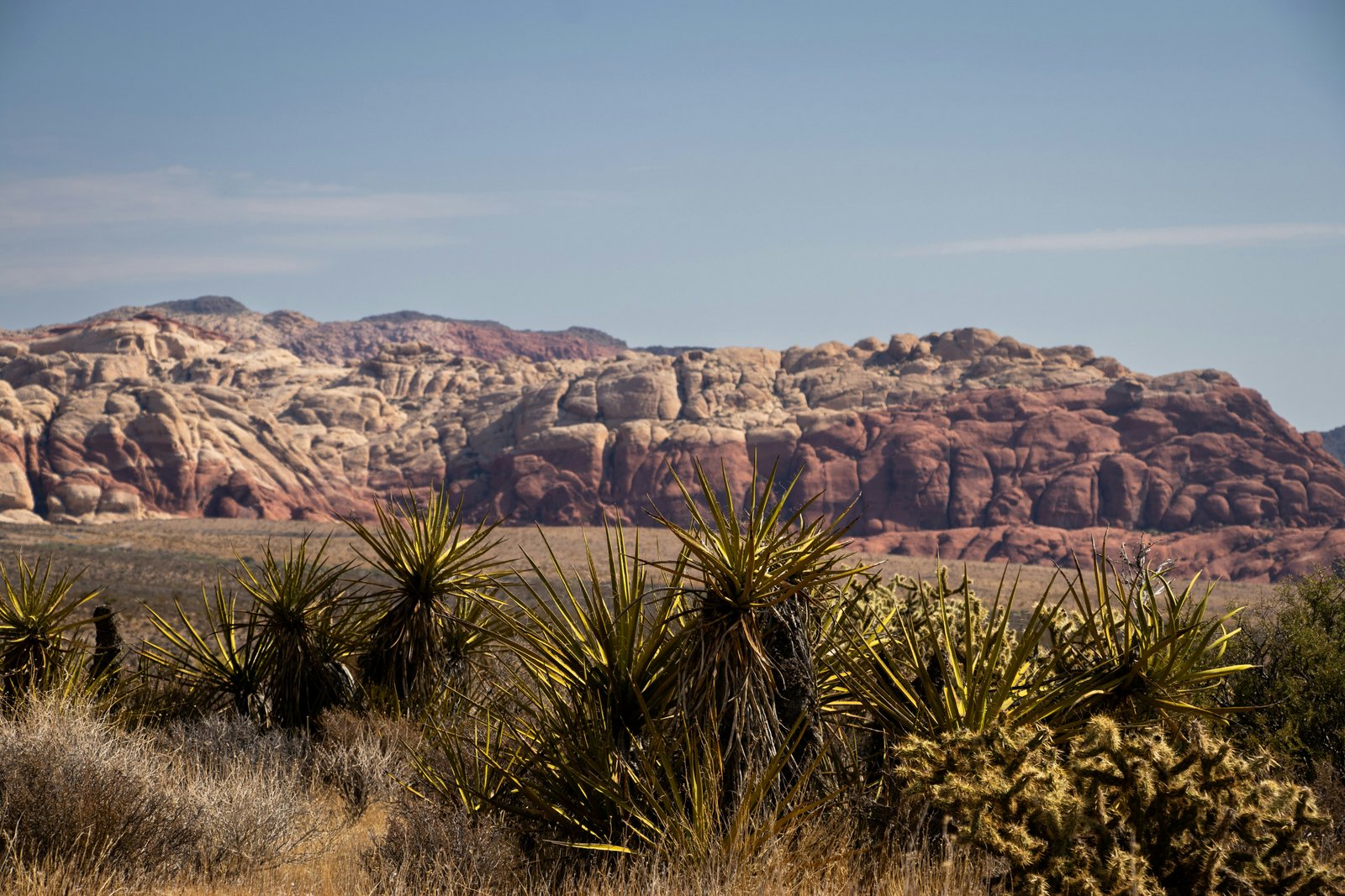 Red Rock Canyon Nevada