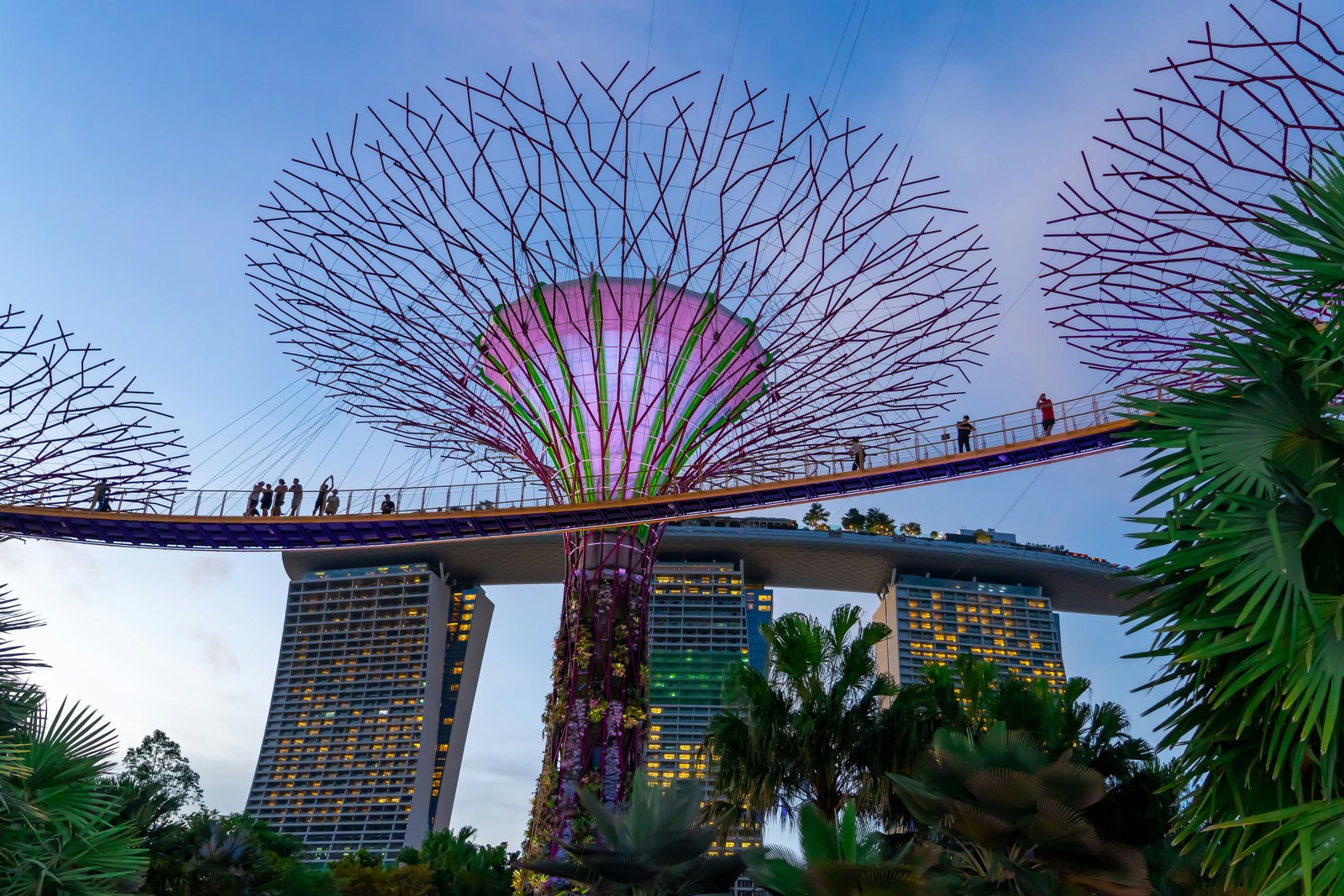 Supertree Grove Gardens by the Bay Singapore